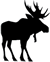 MRBucks's Avatar