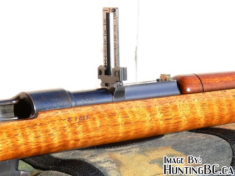 Pics of my 1891 Argentine Mauser - HuntingBC.ca
