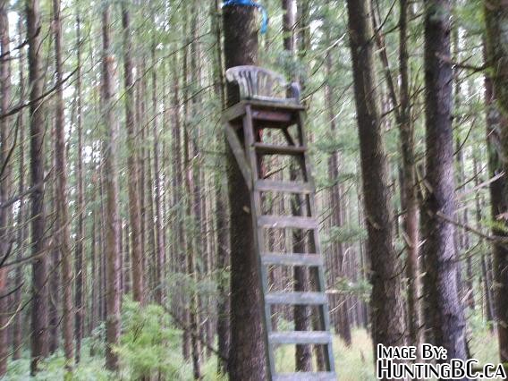 Build Wooden Deer Tree Stand