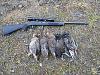 Click image for larger version. 

Name:	Grouse2013.jpg 
Views:	41 
Size:	31.0 KB 
ID:	4837