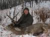 Nov_19_2011_muley.jpg